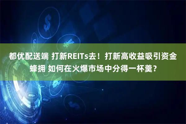 都优配送端 打新REITs去！打新高收益吸引资金蜂拥 如何在火爆市场中分得一杯羹？