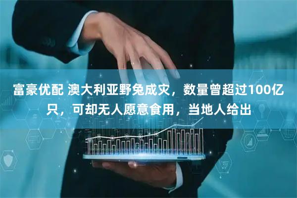富豪优配 澳大利亚野兔成灾，数量曾超过100亿只，可却无人愿意食用，当地人给出